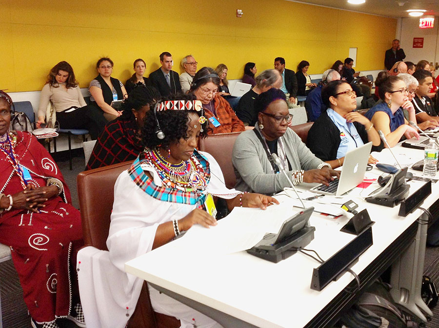 Monica Walters-Field doing anti-racist Quaker work at the UN Permanent Forum on Indigenous Issues