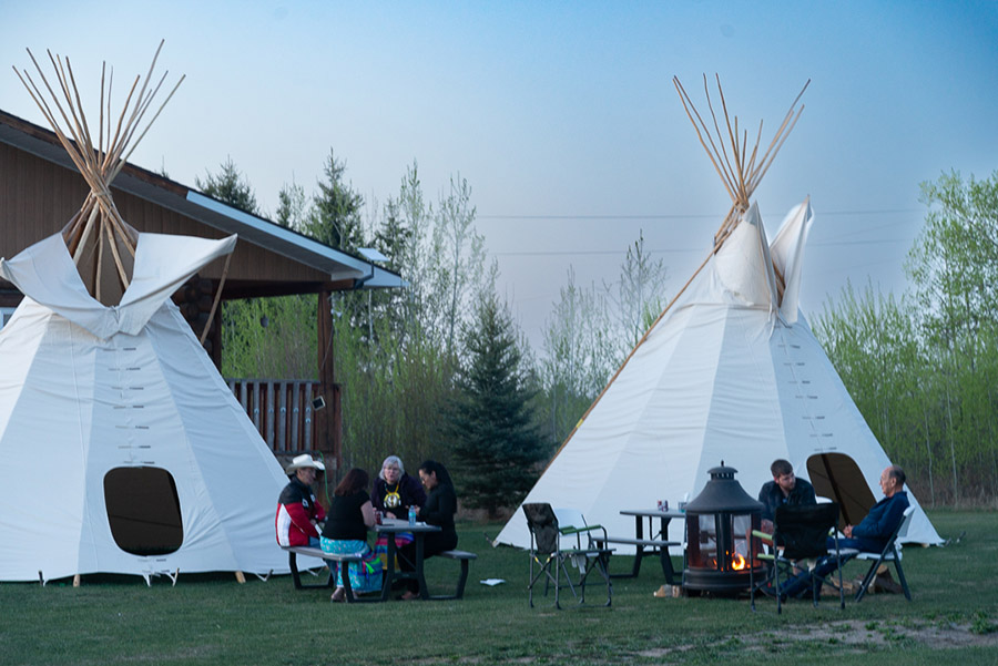 Teepees set up in Laurie Buffalo's backyard, Samson Cree Nation visit